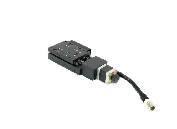 LSM1 > Auto stage